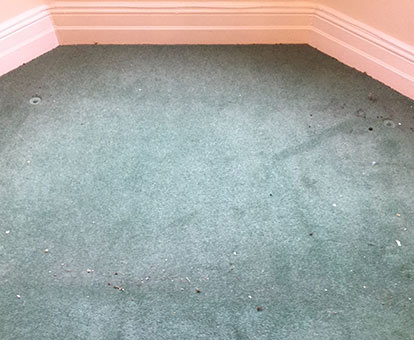 Carpet Cleaning Chester